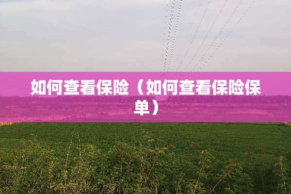 如何查看保险（如何查看保险保单）