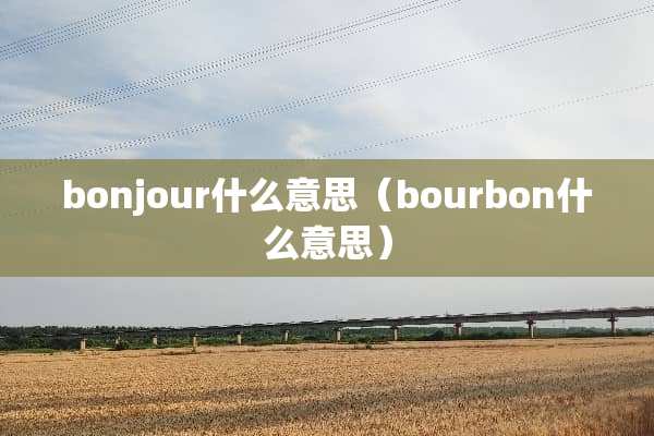 bonjour什么意思（bourbon什么意思）