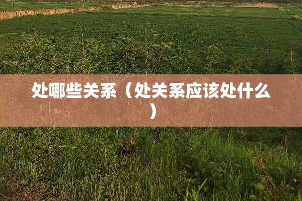 处哪些关系（处关系应该处什么）
