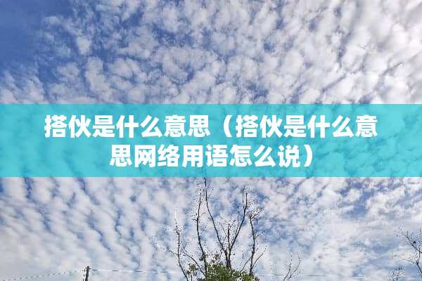搭伙是什么意思（搭伙是什么意思网络用语怎么说）