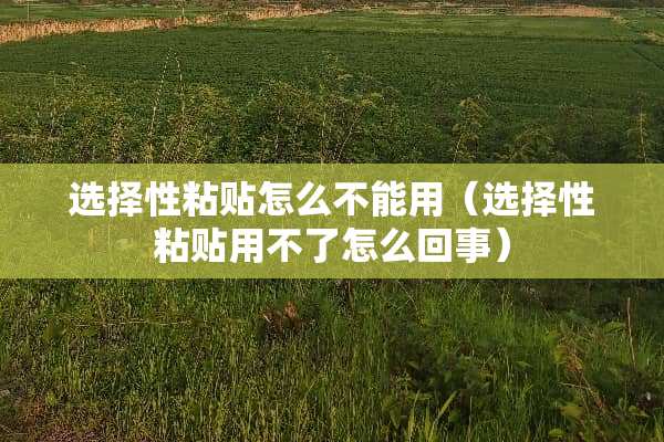 选择性粘贴怎么不能用（选择性粘贴用不了怎么回事）