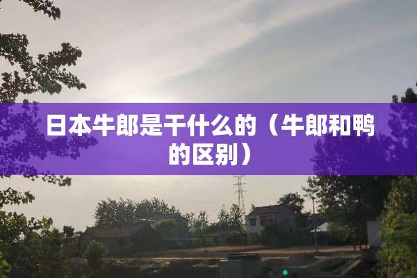 日本牛郎是干什么的（牛郎和鸭的区别）