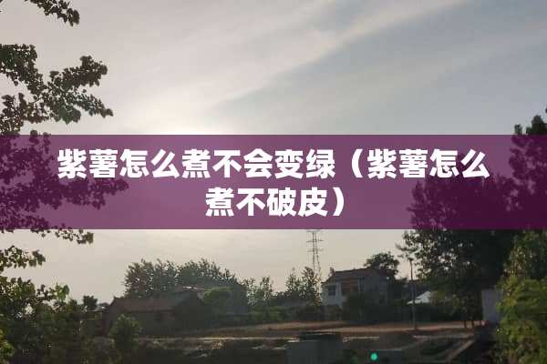 紫薯怎么煮不会变绿（紫薯怎么煮不破皮）