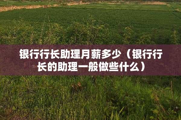 银行行长助理月薪多少（银行行长的助理一般做些什么）