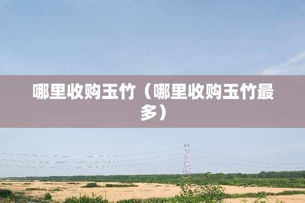 哪里收购玉竹（哪里收购玉竹最多）