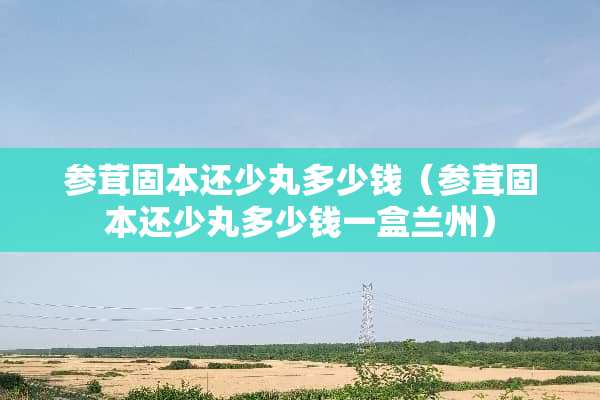 参茸固本还少丸多少钱（参茸固本还少丸多少钱一盒兰州）