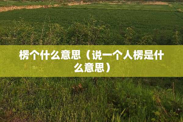 楞个什么意思（说一个人楞是什么意思）
