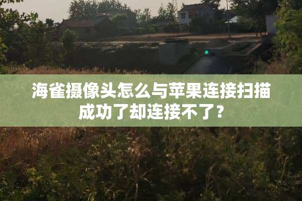 海雀**头怎么与苹果连接扫描成功了却连接不了？
