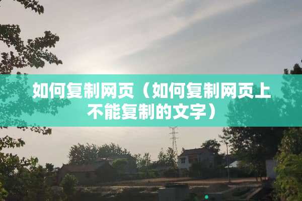 如何复制网页（如何复制网页上不能复制的文字）