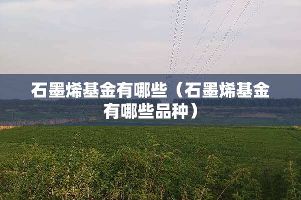 石墨烯基金有哪些（石墨烯基金有哪些品种）