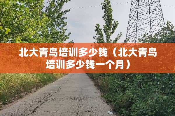 北大青鸟培训多少钱（北大青鸟培训多少钱一个月）