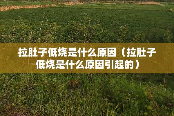 拉肚子低烧是什么原因（拉肚子低烧是什么原因引起的）