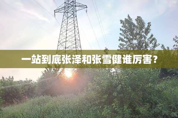一站到底张泽和张雪健谁厉害？