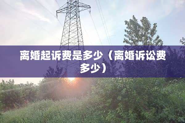 **起诉费是多少（**诉讼费多少）