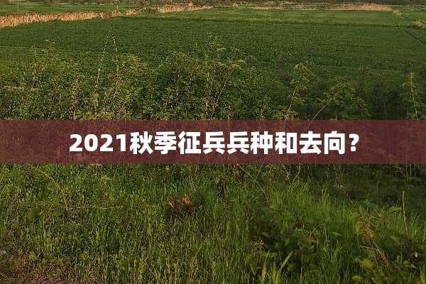 2021秋季征兵兵种和去向？