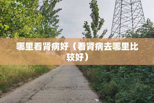 哪里看肾病好（看肾病去哪里比较好）