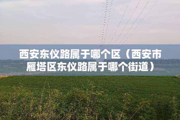 西安东仪路属于哪个区（西安市雁塔区东仪路属于哪个街道）
