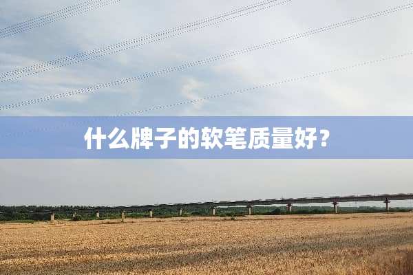 什么牌子的软笔质量好？