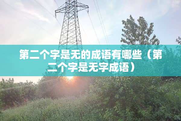 第二个字是无的成语有哪些（第二个字是无字成语）