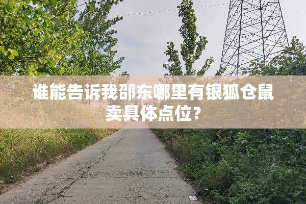 谁能告诉我邵东哪里有银狐仓鼠卖具体点位？