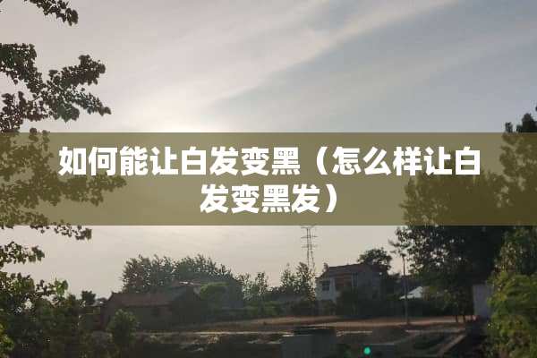 如何能让白发变黑（怎么样让白发变黑发）