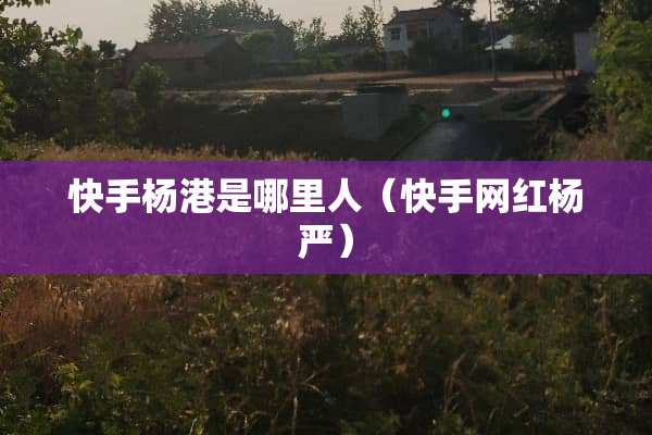 快手杨港是哪里人（快手网红杨严）