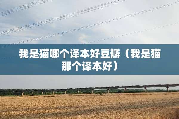 我是猫哪个译本好豆瓣（我是猫那个译本好）