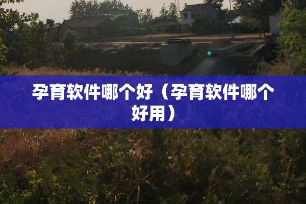 孕育软件哪个好（孕育软件哪个好用）