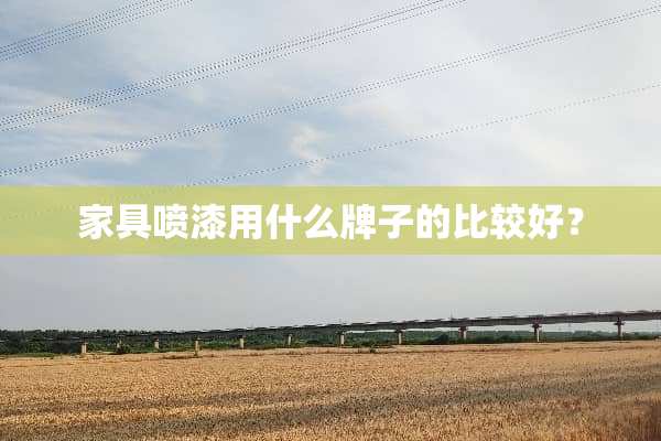家具喷漆用什么牌子的比较好？