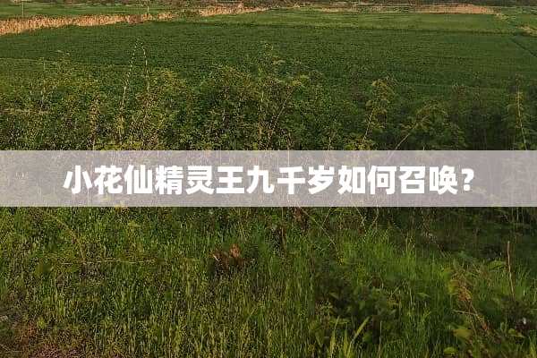 小花仙精灵王九千岁如何召唤？