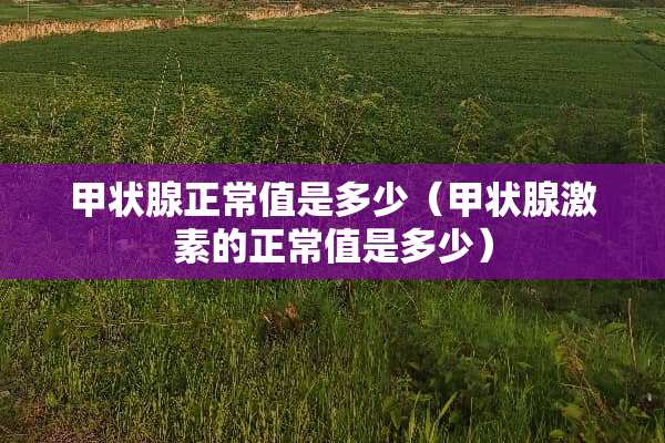 甲状腺正常值是多少（甲状腺激素的正常值是多少）