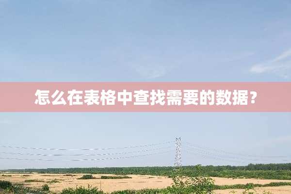 怎么在表格中查找需要的数据？