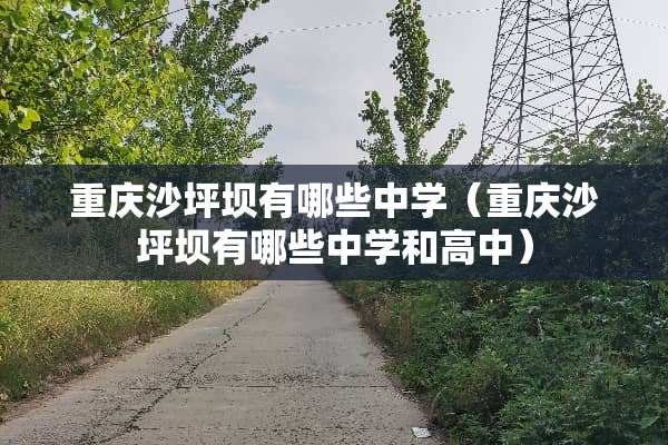 重庆沙坪坝有哪些中学（重庆沙坪坝有哪些中学和高中）