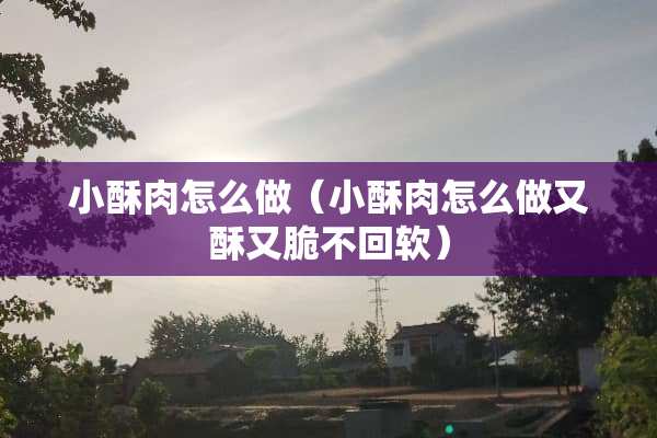 小酥肉怎么做（小酥肉怎么做又酥又脆不回软）