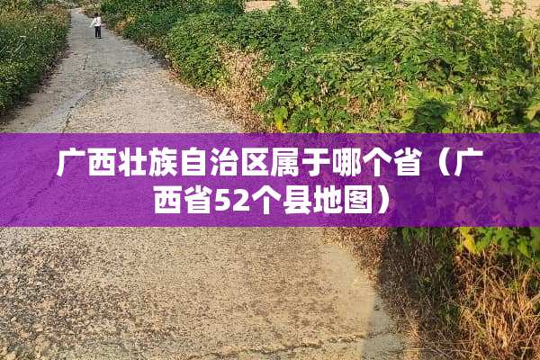 广西壮族自治区属于哪个省（广西省52个县地图）