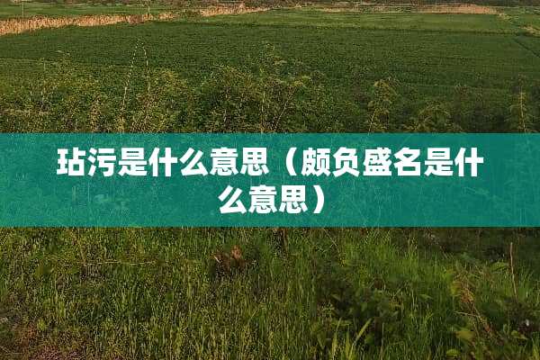 玷污是什么意思（颇负盛名是什么意思）