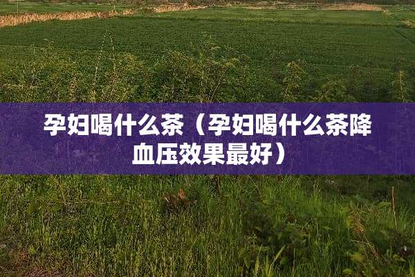 孕妇喝什么茶（孕妇喝什么茶降血压效果最好）