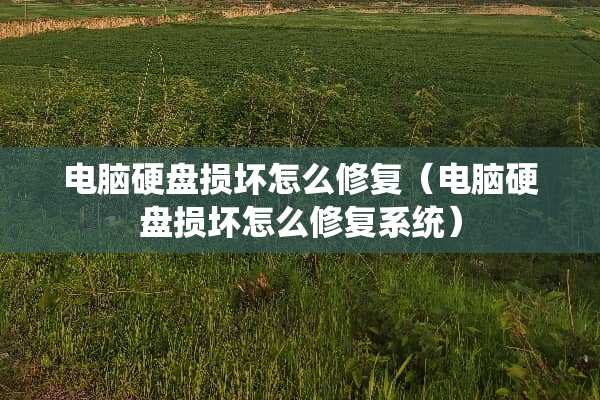 电脑硬盘损坏怎么修复（电脑硬盘损坏怎么修复系统）