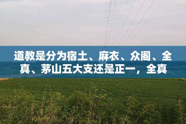 道教是分为宿土、麻衣、众阁、全真、茅山五大支还是正一，全真两支？