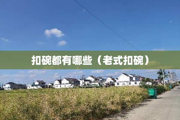 扣碗都有哪些（老式扣碗）