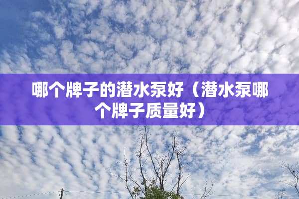 哪个牌子的潜水泵好（潜水泵哪个牌子质量好）