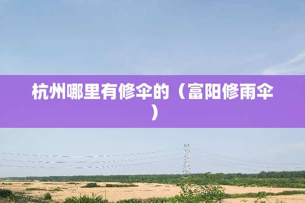 杭州哪里有修伞的（富阳修雨伞）