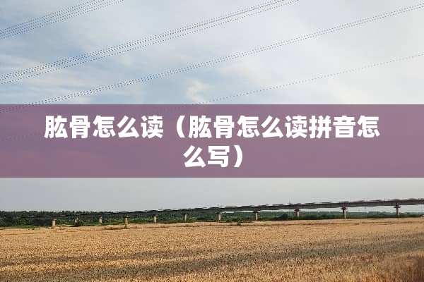 肱骨怎么读（肱骨怎么读拼音怎么写）