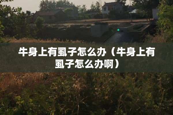 牛身上有虱子怎么办（牛身上有虱子怎么办啊）