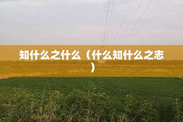 知什么之什么（什么知什么之志）