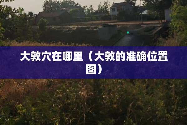 大敦*在哪里（大敦的准确位置图）