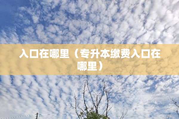 入口在哪里（专升本缴费入口在哪里）