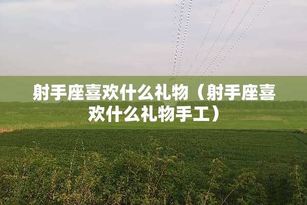 射手座喜欢什么礼物（射手座喜欢什么礼物手工）