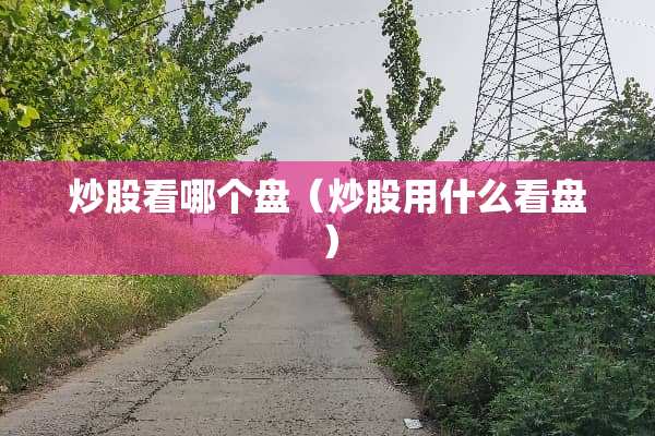 炒股看哪个盘（炒股用什么看盘）
