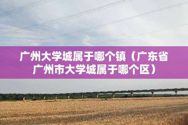 广州大学城属于哪个镇（广东省广州市大学城属于哪个区）
